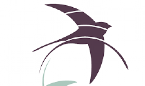 Конкурс грантів для регіональних медіа: журналістика суспільного інтересу та публічний діалог